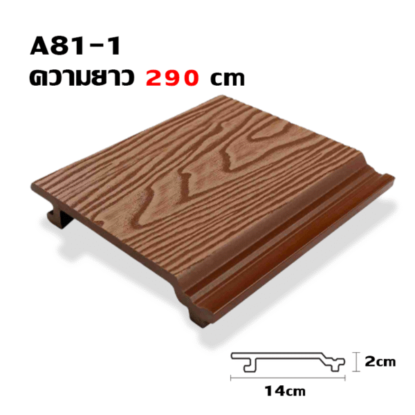 A81-1